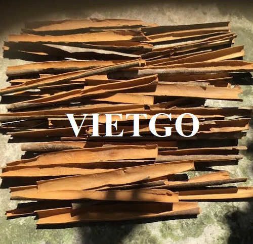 Cơ hội trở thành đối tác xuất khẩu sản phẩm quế cho một thương nhân Ấn Độ