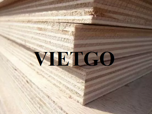 Thương vụ xuất khẩu ván LVL dài hạn sang thị trường Thái Lan