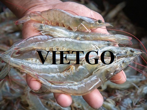 Thương vụ xuất khẩu tôm sang thị trường Trung Quốc