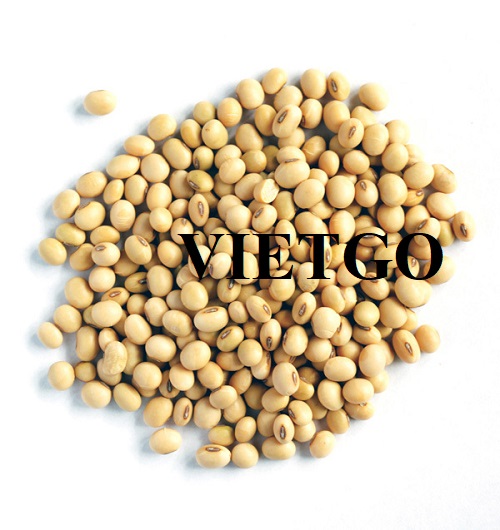 Cơ hội hợp tác dài hạn với doanh nghiệp tại Trung Quốc cho đơn hàng nhập khẩu hạt đậu nành