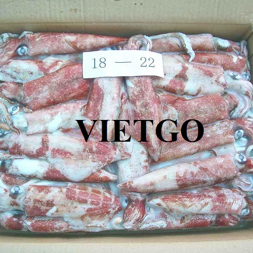 Cơ hội giao thương xuất khẩu mực đông lạnh sang thị trường Trung Quốc