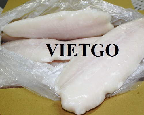 Thương vụ xuất khẩu cá basa đông lạnh sang thị trường Trung Quốc