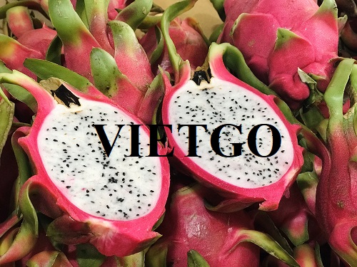 Cơ hội giao thương đến từ vị khách hàng người Ấn Độ cho sản phẩm thanh long