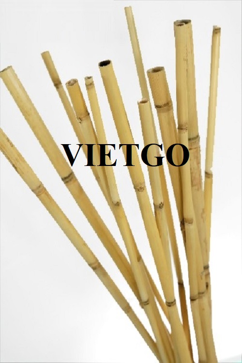 Đối tác Ấn Độ cần nhập khẩu 10.000 chiếc gậy tre mỗi tháng