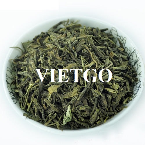 Cơ hội xuất khẩu chè xanh sang thị trường Ả Rập Xê Út trong vòng 1 năm