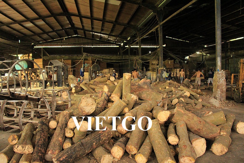 Cơ hội cung cấp gỗ cao su tròn cho vị thương nhân người Georgia
