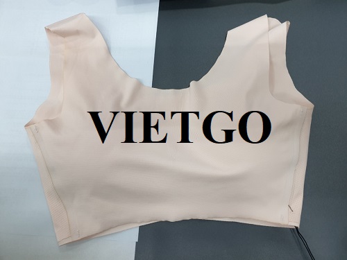 Thương vụ xuất khẩu số lượng lớn đồ nội y sang thị trường Hàn Quốc