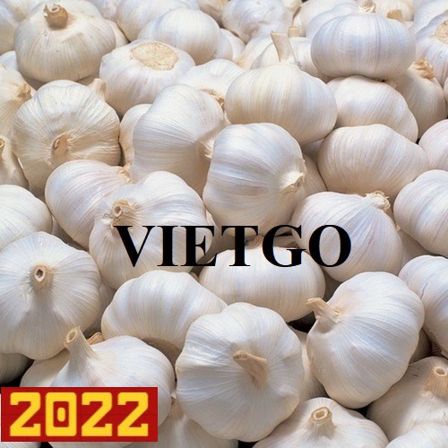 Đối tác đến từ Vương quốc Anh cần tìm nhà cung cấp cho mặt hàng tỏi trắng