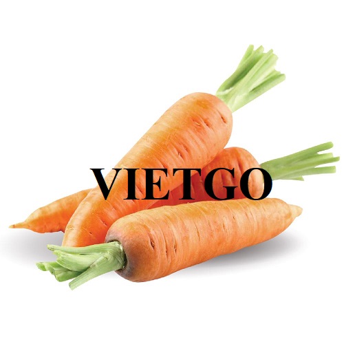 Thương vụ xuất khẩu mặt hàng cà rốt sang thị trường Nga