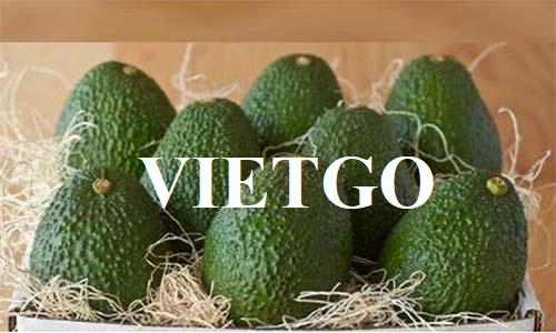 Thương vụ xuất khẩu mặt hàng bơ tươi sang thị trường Nga