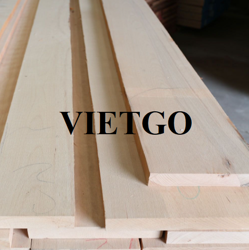 Thương vụ xuất khẩu gỗ dẻ gai xẻ đầy hấp dẫn sang thị trường Mỹ