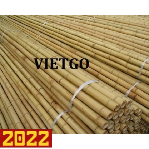 Cơ hội giao thương xuất khẩu gậy tre sang thị trường Oman