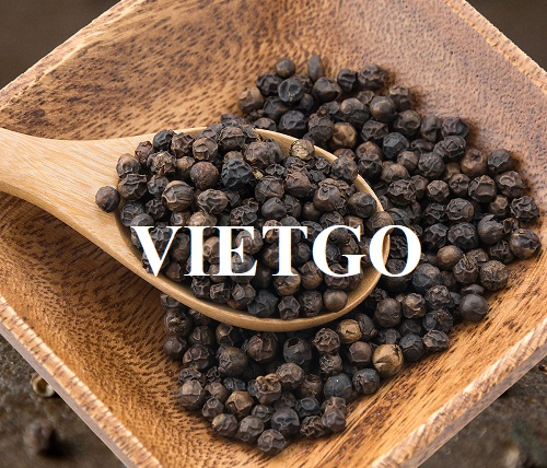 Thương vụ hợp tác với doanh nghiệp tại Ấn Độ cho đơn hàng hạt tiêu đen
