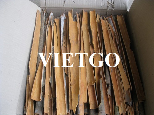 Cơ hội hợp tác với đối tác người Ấn Độ cho mặt hàng quế chẻ và quế ống sáo