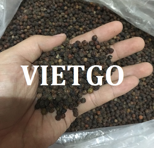Cơ hội xuất khẩu tiêu đen sang thị trường Iran