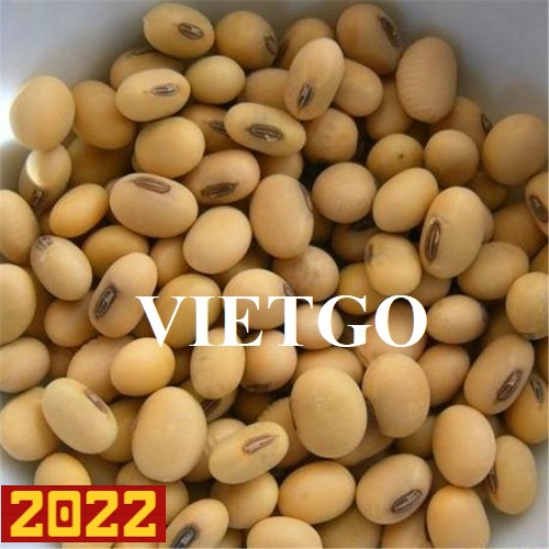 Cơ hội hợp tác xuất khẩu hạt đậu nành cho các doanh nghiệp tại Bỉ và Tây Ban Nha