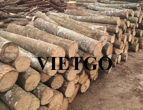 Cơ hội xuất khẩu gỗ keo hàng tháng sang thị trường Iran