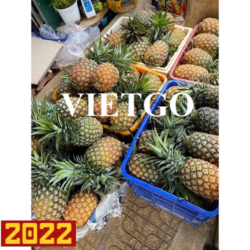 Thương vụ xuất khẩu dứa tươi hàng tuần sang thị trường Dubai