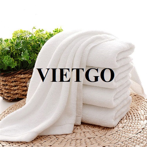 Cơ hội xuất khẩu mặt hàng khăn bông sang thị trường Úc