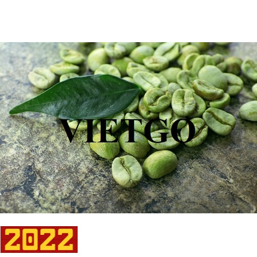 Thương vụ xuất khẩu hạt cà phê sang thị trường Ai Cập