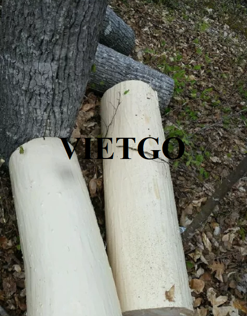 Thương vụ xuất khẩu gỗ dương tròn sang thị trường Ý