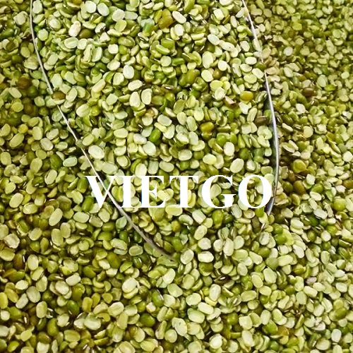 Thương vụ xuất khẩu sản phẩm đậu xanh tách hạt sang thị trường Trung Quốc
