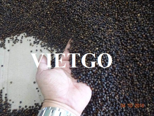Thương vụ hợp tác xuất khẩu sang thị trường Thổ Nhĩ Kỳ sản phẩm tiêu đen