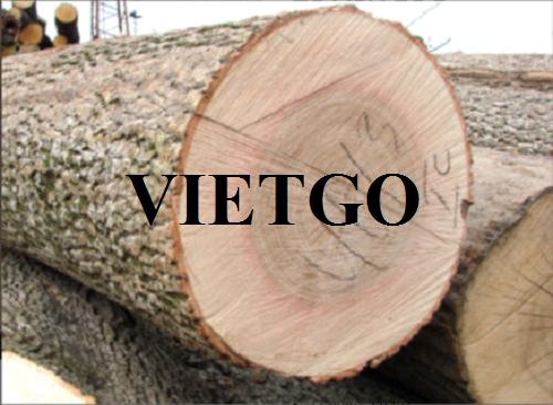 Thương vụ xuất khẩu gỗ tần bì tròn sang thị trường Trung Quốc