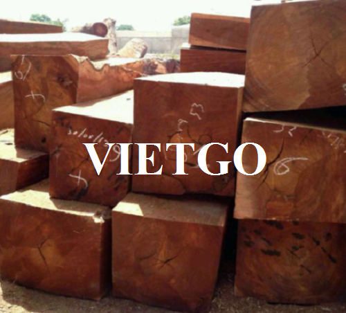 Thương vụ xuất khẩu gỗ gõ xẻ sang thị trường Ấn Độ và UAE