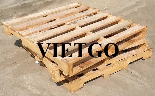 (Gấp) Thương vụ xuất khẩu pallet gỗ cho doanh nghiệp lâu đời tại Mỹ