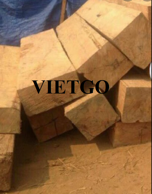 Thương vụ xuất khẩu gỗ xoan đào xẻ sang thị trường Ấn Độ và UAE