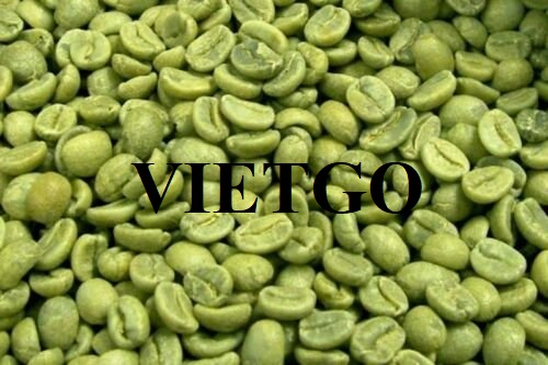 Thương vụ xuất khẩu hạt cà phê sang thị trường Li-băng
