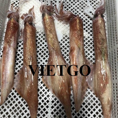 Cơ hội xuất khẩu sản phẩm mực đông lạnh sang thị trường Jamaica