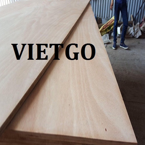Doanh nghiệp tại Thái Lan cần tìm nhà cung cấp mặt hàng gỗ dán để hợp tác lâu dài