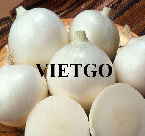 Thương vụ xuất khẩu mặt hàng hành tây sang thị trường UAE