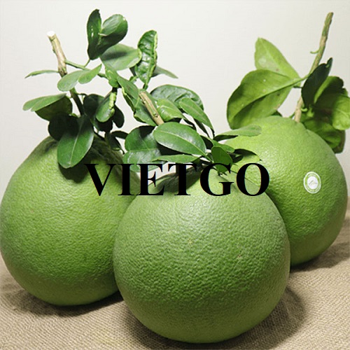 Cơ hội xuất khẩu quả bưởi sang thị trường Ả Rập Xê Út