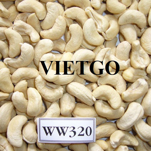 Cơ hội hợp tác với doanh nghiệp tại Ấn Độ cho đơn hàng nhập khẩu hạt điều