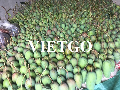 Cơ hội hợp tác với doanh nghiệp tại Oman cho đơn hàng xuất khẩu xoài tươi
