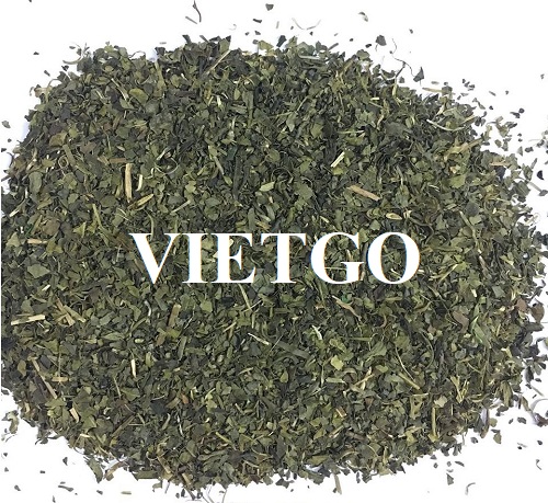 Cơ hội hợp tác với doanh nghiệp tại Nam Phi cho đơn hàng chè xanh