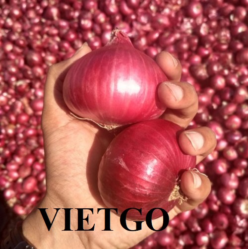 Cơ hội hợp tác với doanh nghiệp tại Ả Rập Xê Út cho đơn hàng xuất khẩu hành tím