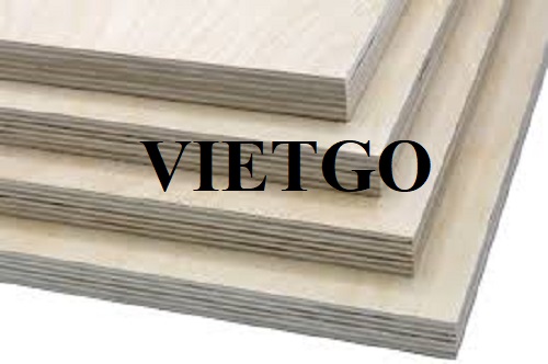 Cơ hội xuất khẩu gỗ dán sang thị trường Hàn Quốc