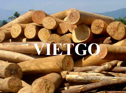 (Gấp) Thương vụ xuất khẩu gỗ keo tròn hấp dẫn đến từ một vị khách người Iran