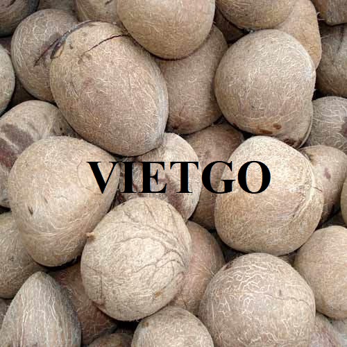Cơ hội hợp tác với doanh nghiệp tại Nepal cho đơn hàng cùi dừa khô