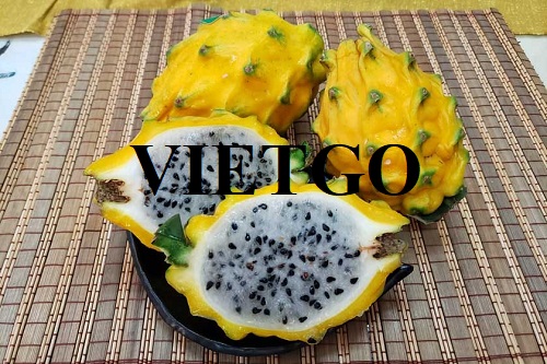 Thương vụ hợp tác xuất khẩu thanh long sang thị trường Hong Kong