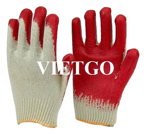 Thương vụ xuất khẩu găng tay lao động sang thị trường Mỹ