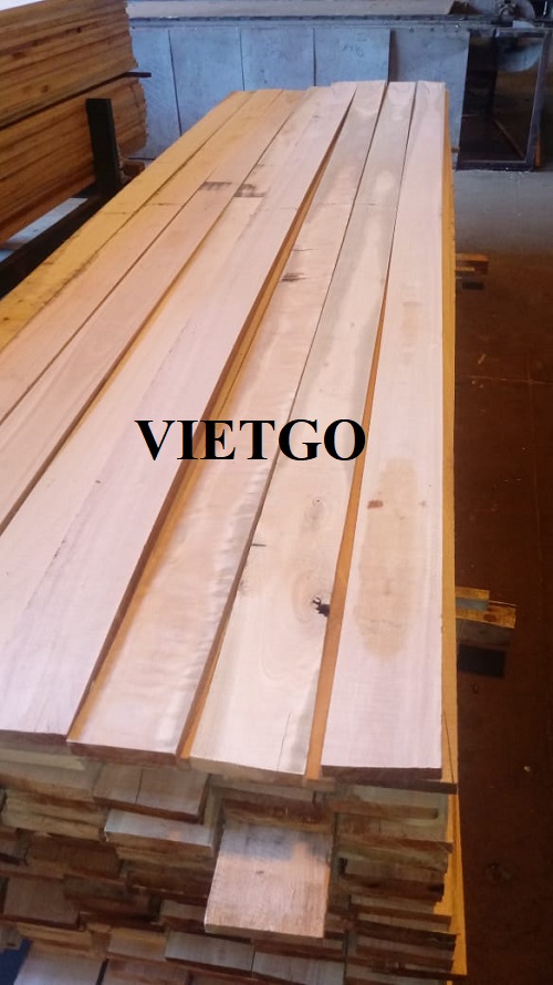 Cơ hội xuất khẩu gỗ bạch đàn xẻ sang thị trường Hàn Quốc