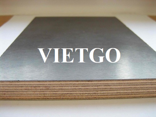 Thương vụ xuất khẩu gỗ dán phủ phim hấp dẫn đến từ vị khách người Qatar