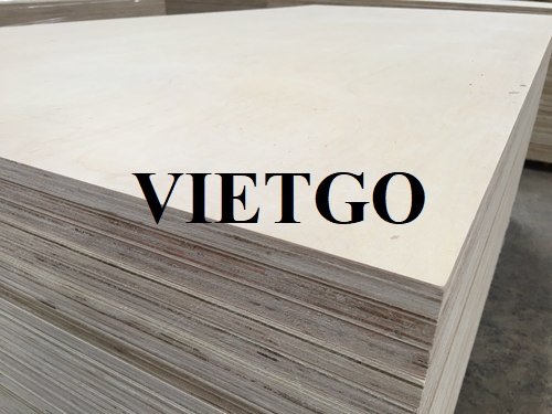 Thương vụ xuất khẩu gỗ dán hấp dẫn sang thị trường Mỹ