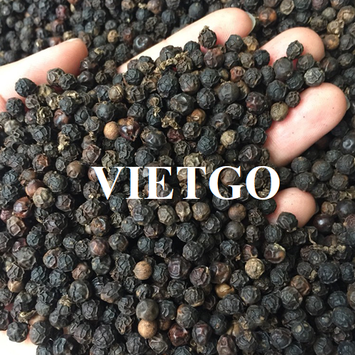 Đơn hàng gấp – Cơ hội xuất khẩu tiêu đen đến từ vị khách hàng người Hàn Quốc