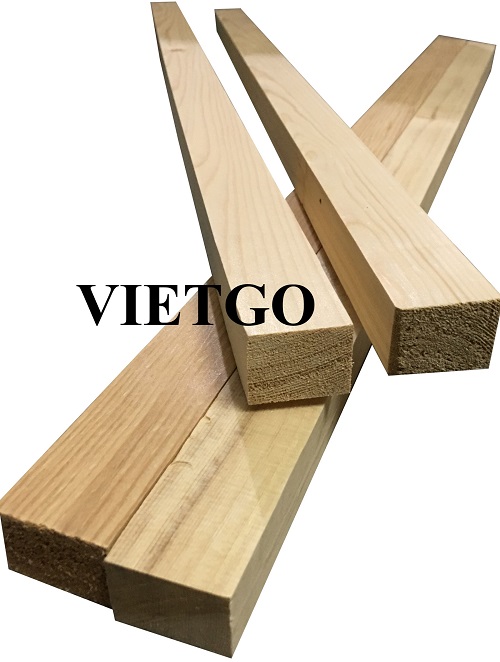 Cơ hội hợp tác với vị khách hàng đến từ Canada để xuất khẩu gỗ thông xẻ sang thị trường Úc